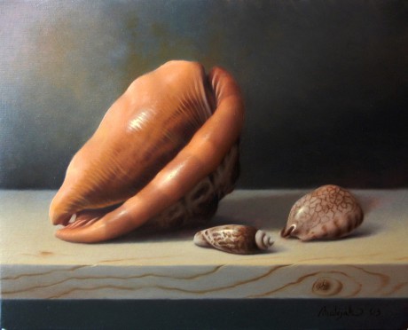 Seashells - Olej 20 x 30