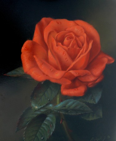 růže 30 x 24 cm