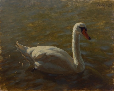 Swan - Oil on MDF