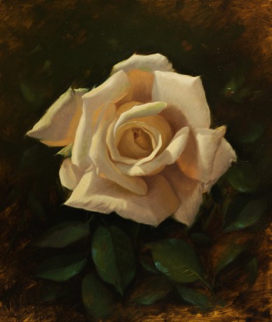 White rose