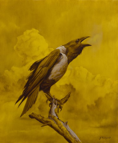 The Crow  - Olej na ACM panelu  50 x 60 cm