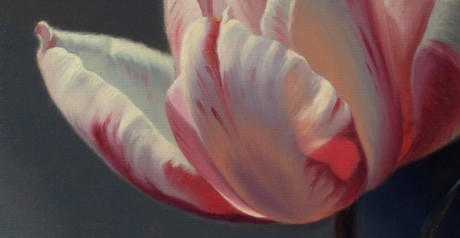 Tulip detail 1
