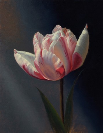 TULIP