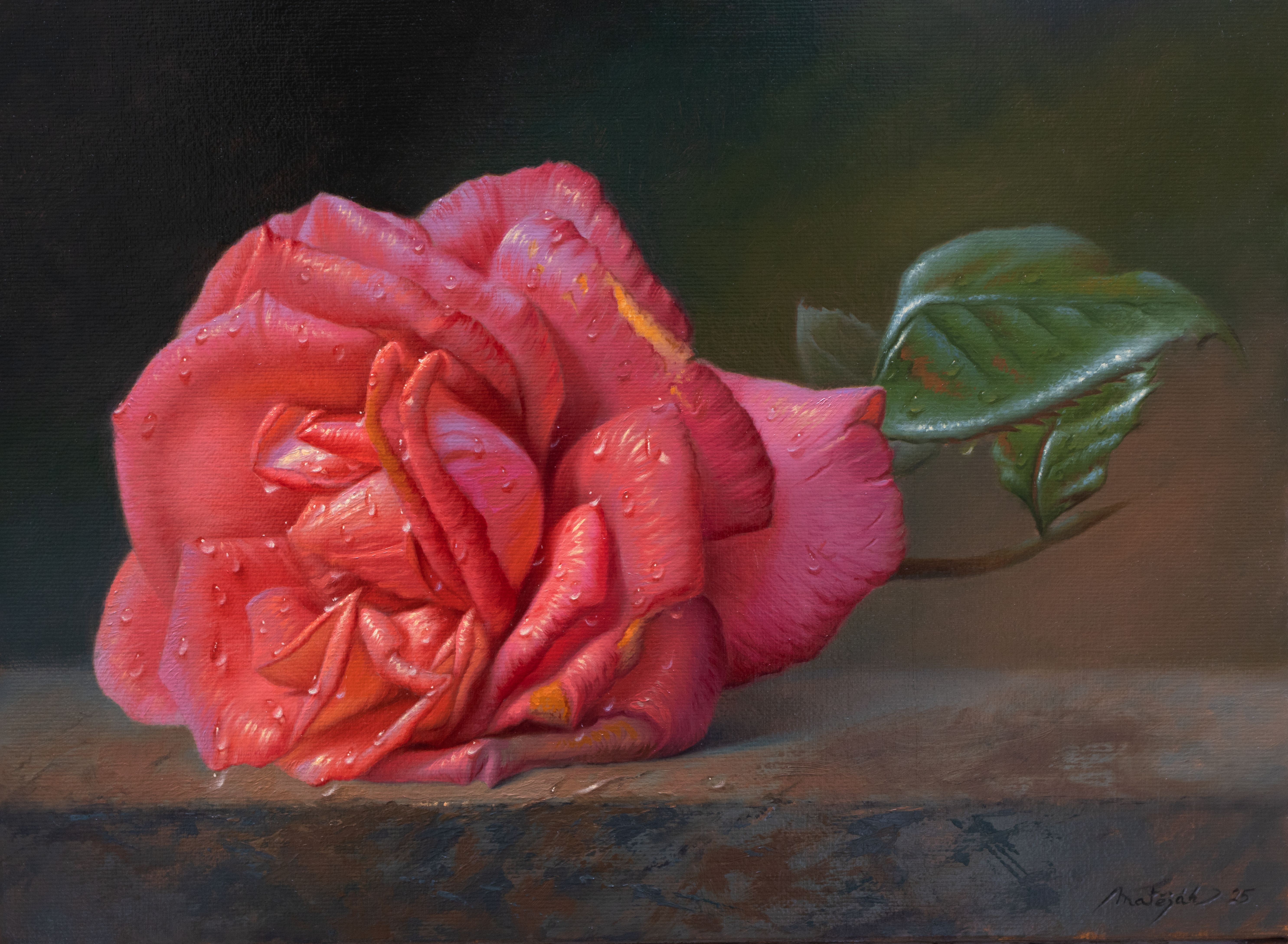 Pink rose 30 x 40 