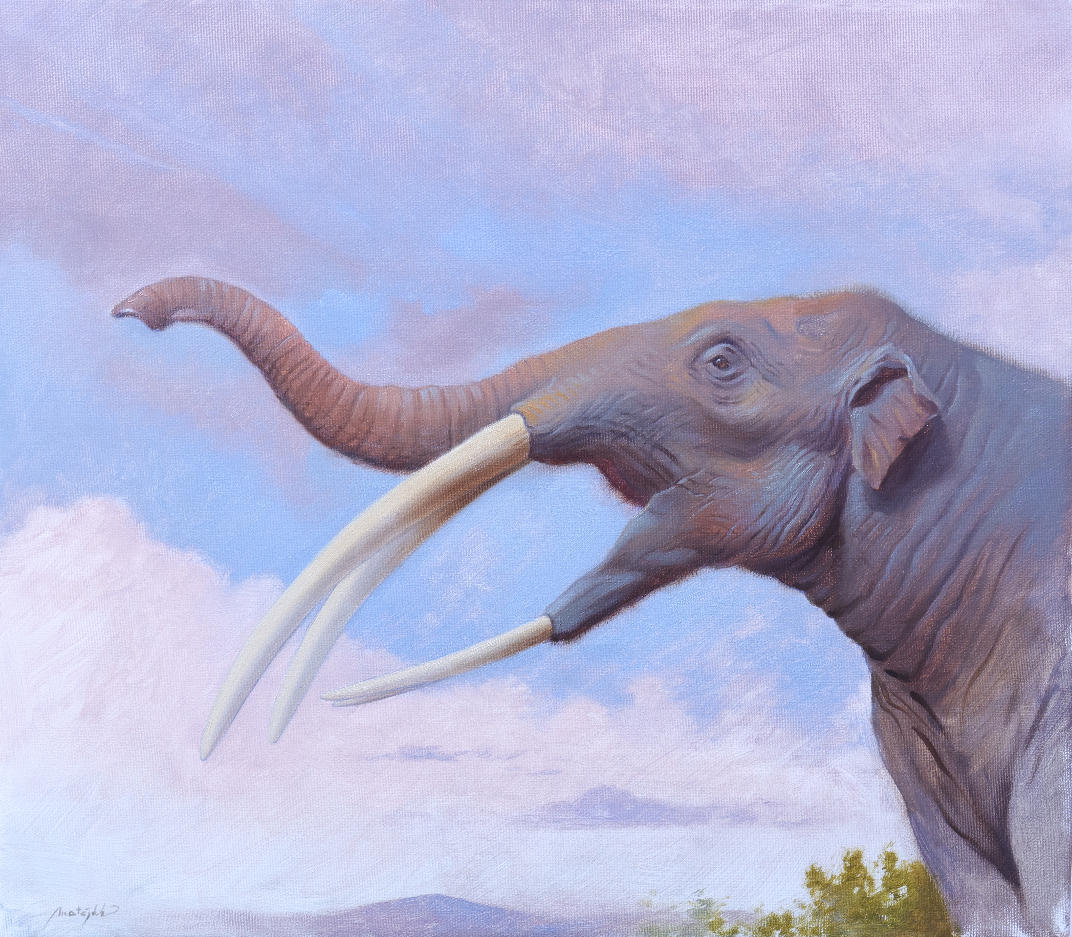 Stegotetrabelodon