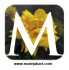 logo.jpg